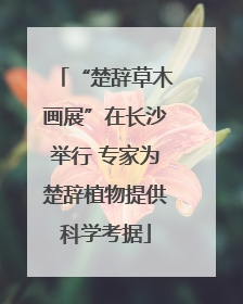 “楚辞草木画展”在长沙举行 专家为楚辞植物提供科学考据