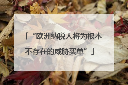 “欧洲纳税人将为根本不存在的威胁买单”