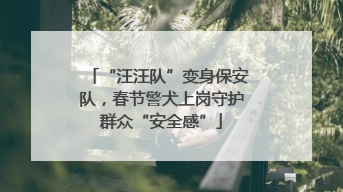 “汪汪队”变身保安队，春节警犬上岗守护群众“安全感”