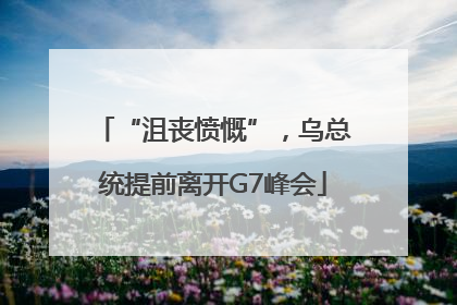 “沮丧愤慨”，乌总统提前离开G7峰会