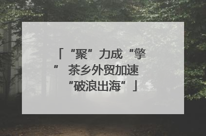 “聚”力成“擎” 茶乡外贸加速“破浪出海”
