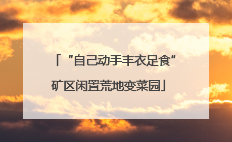 “自己动手丰衣足食”矿区闲置荒地变菜园