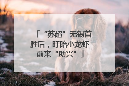 “苏超”无锡首胜后，盱眙小龙虾前来“助兴”