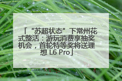 “苏超状态”下常州花式整活：游玩消费享抽奖机会，首轮特等奖将送理想 L6 Pro