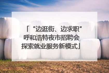 “边逛街、边求职” 呼和浩特夜市招聘会探索就业服务新模式
