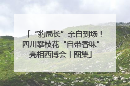 “豹局长”亲自到场！四川攀枝花“自带香味”亮相西博会丨图集