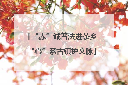 “赤”诚普法进茶乡 “心”系古镇护文脉