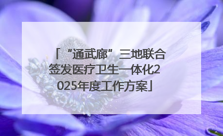 “通武廊”三地联合签发医疗卫生一体化2025年度工作方案