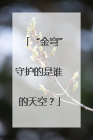 “金穹”守护的是谁的天空？