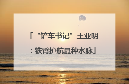 “铲车书记”王亚明：铁臂护航夏种水脉