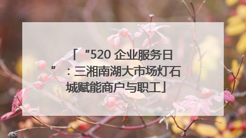 “520 企业服务日”：三湘南湖大市场灯石城赋能商户与职工