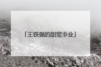 王铁强的甜蜜事业