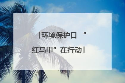 环境保护日 “红马甲”在行动