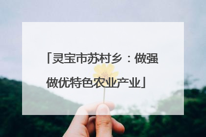 灵宝市苏村乡：做强做优特色农业产业