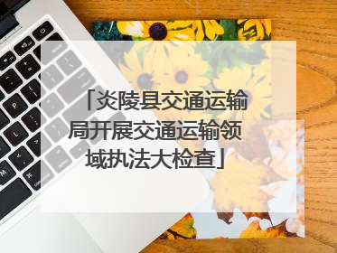 炎陵县交通运输局开展交通运输领域执法大检查