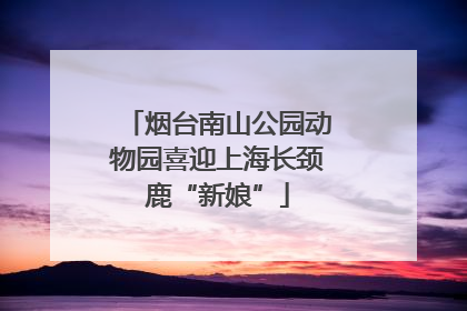 烟台南山公园动物园喜迎上海长颈鹿“新娘”