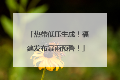 热带低压生成！福建发布暴雨预警！