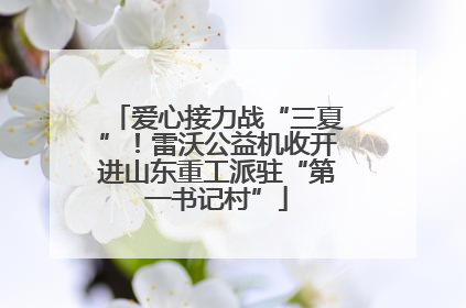 爱心接力战“三夏”！雷沃公益机收开进山东重工派驻“第一书记村”