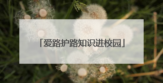 爱路护路知识进校园