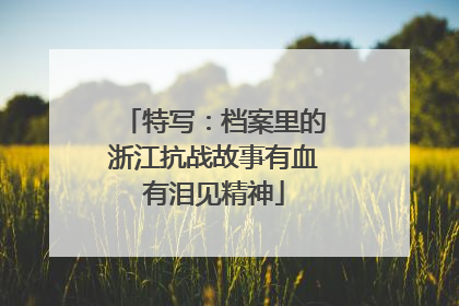 特写：档案里的浙江抗战故事有血有泪见精神