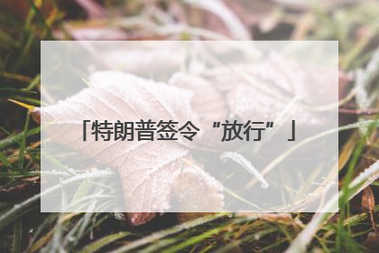 特朗普签令“放行”