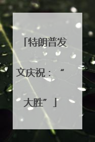 特朗普发文庆祝：“大胜”