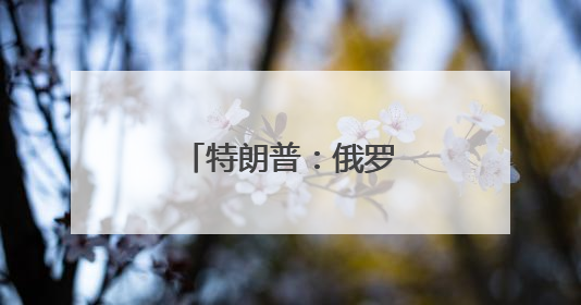 特朗普：俄罗斯应回到G8，中国也可加入