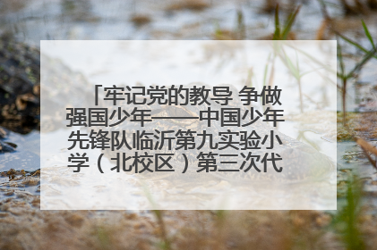 牢记党的教导 争做强国少年——中国少年先锋队临沂第九实验小学（北校区）第三次代表大会胜利召开