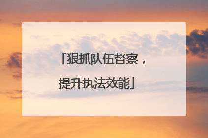 狠抓队伍督察，提升执法效能
