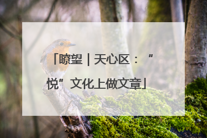瞭望｜天心区：“悦”文化上做文章