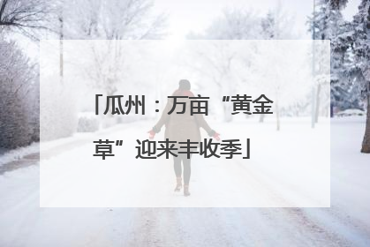 瓜州：万亩“黄金草”迎来丰收季