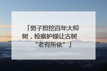 男子擅挖百年大樟树,检察护绿让古树“老有所依”