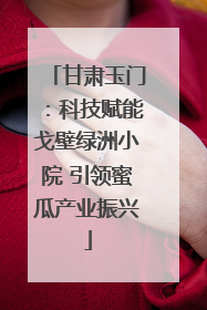 甘肃玉门：科技赋能戈壁绿洲小院 引领蜜瓜产业振兴