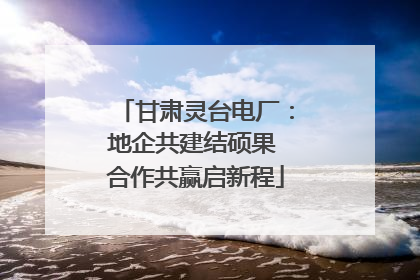 甘肃灵台电厂：地企共建结硕果 合作共赢启新程