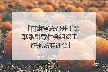 甘肃省总召开工会联系引导社会组织工作现场推进会