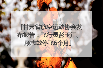 甘肃省航空运动协会发布报告：飞行员彭玉江、顾志敏停飞6个月