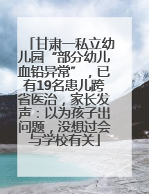 甘肃一私立幼儿园“部分幼儿血铅异常”，已有19名患儿跨省医治，家长发声：以为孩子出问题，没想过会与学校有关