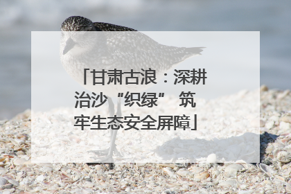 甘肃古浪：深耕治沙“织绿” 筑牢生态安全屏障