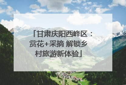 甘肃庆阳西峰区：赏花+采摘 解锁乡村旅游新体验
