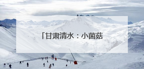 甘肃清水：小菌菇大“蘑”力撑起乡村振兴“致富伞”