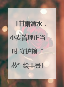 甘肃清水：小麦管理正当时 守护粮“芯”绘丰景