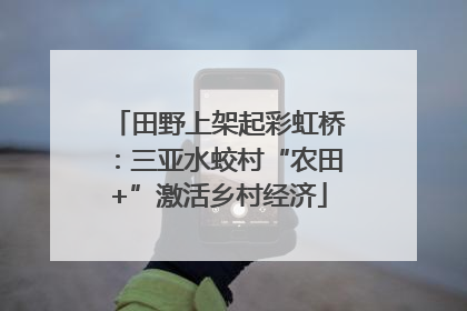 田野上架起彩虹桥：三亚水蛟村“农田+”激活乡村经济