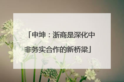 申坤：浙商是深化中非务实合作的新桥梁