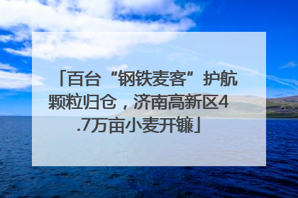 百台“钢铁麦客”护航颗粒归仓，济南高新区4.7万亩小麦开镰
