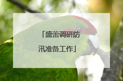 盛蕾调研防汛准备工作