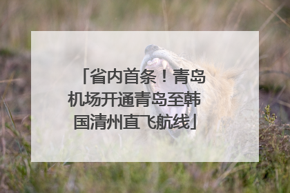 省内首条！青岛机场开通青岛至韩国清州直飞航线