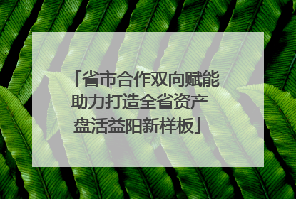 省市合作双向赋能 助力打造全省资产盘活益阳新样板