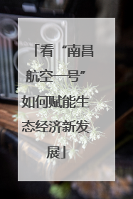 看“南昌航空一号”如何赋能生态经济新发展