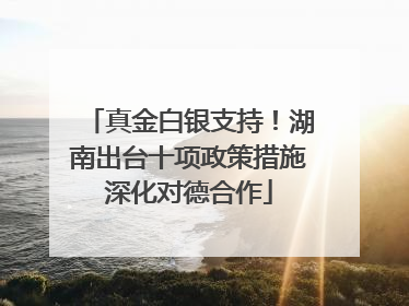真金白银支持！湖南出台十项政策措施深化对德合作