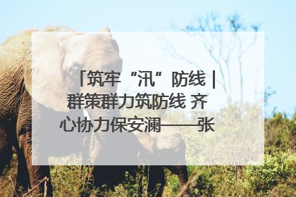 筑牢“汛”防线｜群策群力筑防线 齐心协力保安澜——张家界高新区上下众志成城迎战汛情